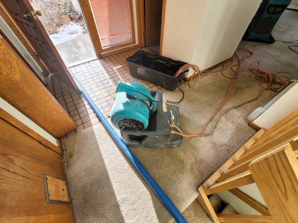 Sewage cleanup and water damage restoration