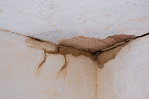 Best Water damage contractors near me  in Marion, SC