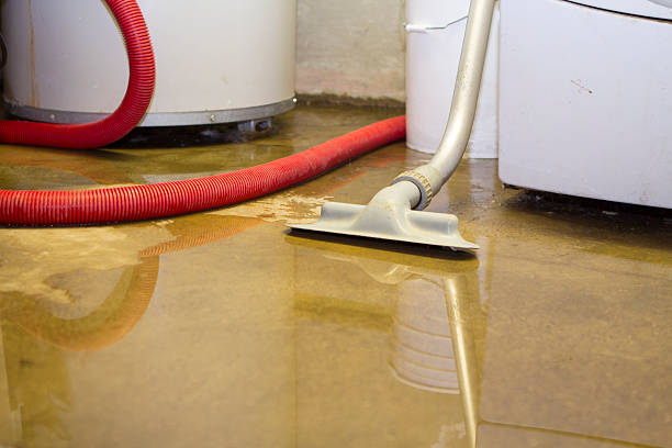 Best Commercial water damage restoration  in Marion, SC