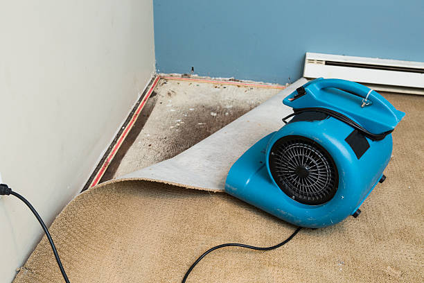 Best Flood damage cleanup  in Marion, SC